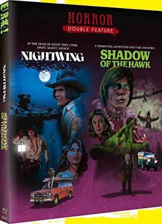 NIGHTWING/SHADOW OF THE HAWK