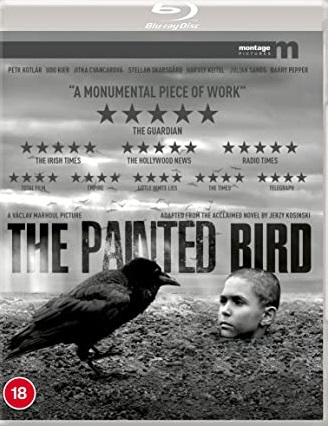 THE PAINTED BIRD